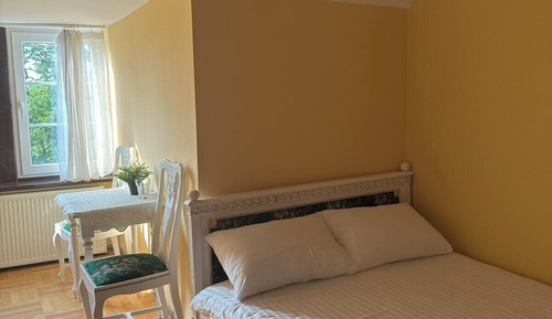 Habitación Deluxe doble, vistas al jardín