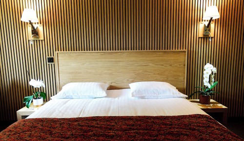 Habitación Deluxe doble, vistas al jardín