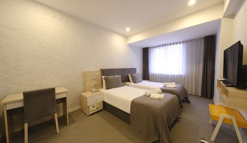 Habitación Deluxe con 2 camas individuales