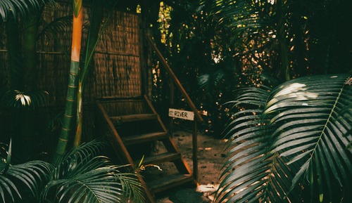 Standard Bungalow, Garden View