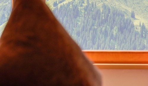 Habitación Grand doble, vistas a la montaña