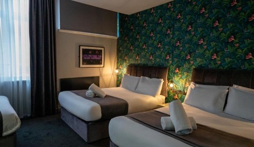 Suite estudio Deluxe