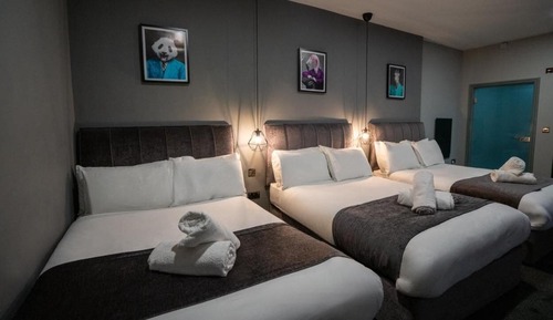 Suite estudio Deluxe