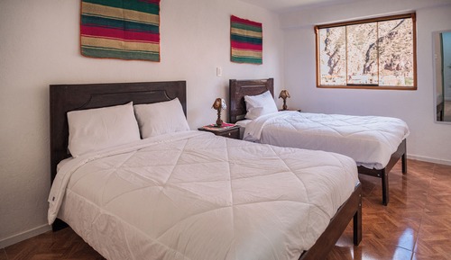 Habitación básica con 2 camas individuales, vistas al jardín