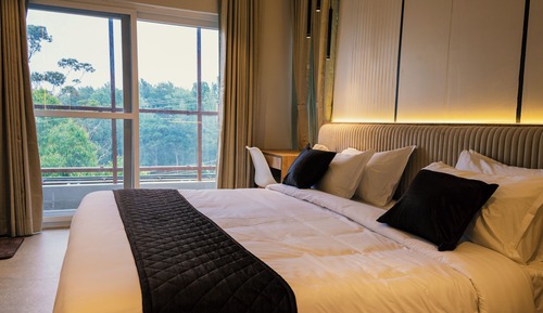 Suite estudio Confort