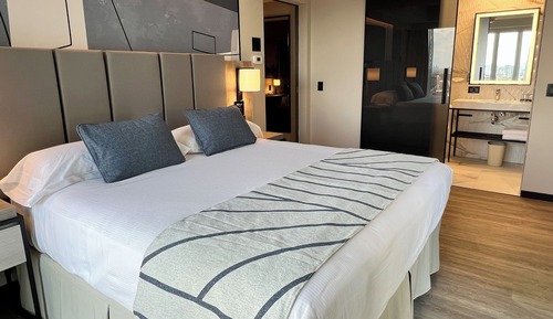 Deluxe Suite, 1 King Bed with Sofa bed (Senior)