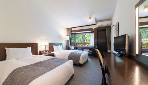 Habitación clásica con 2 camas individuales, no fumadores