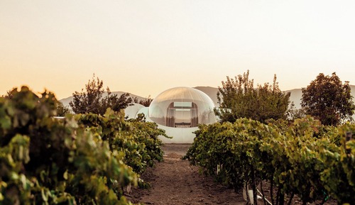 Habitación estándar, patio, vistas al viñedo