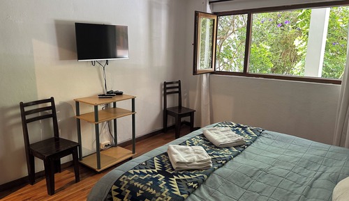 Apartamento estándar, cocina, vistas al jardín