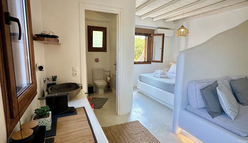 Estudio Deluxe, vistas al jardín