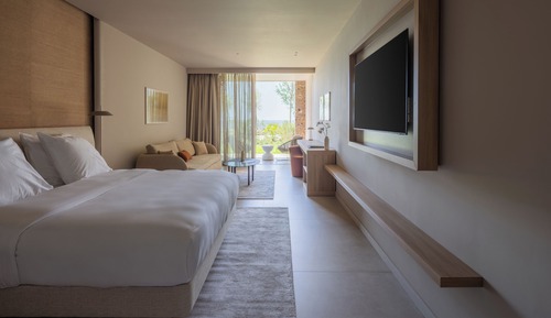 Suite junior, 1 cama de matrimonio grande con sofá cama