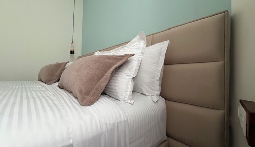 Habitación Deluxe con 1 cama doble o 2 individuales, No se admiten mascotas, vistas a la ciudad