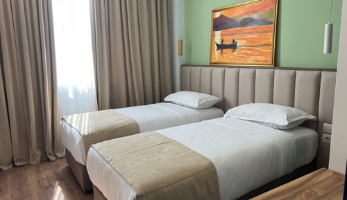 Habitación Deluxe con 1 cama doble o 2 individuales, No se admiten mascotas, vistas a la ciudad