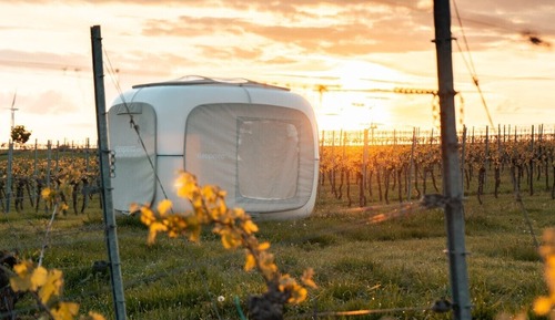 Tienda Confort, 1 cama de matrimonio, vistas al viñedo