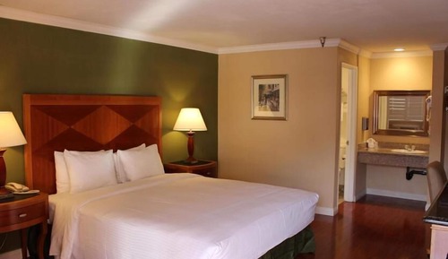 Habitación individual básica, vistas al valle