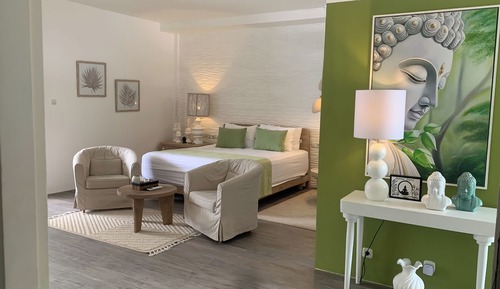 Suite Deluxe, 1 habitación