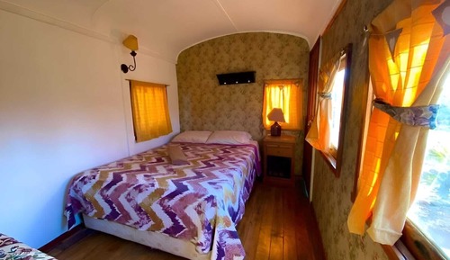 Deluxe Cabin, Patio
