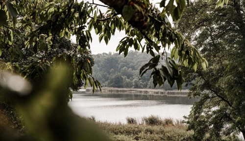 Suite junior, balcón, vistas al lago