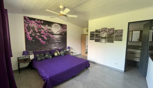 Habitación estándar con 1 cama doble o 2 individuales, no fumadores, baño privado