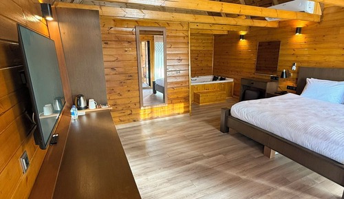 Suite junior, no fumadores, vistas al jardín