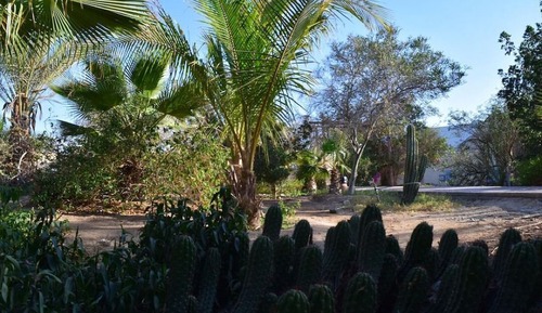 Habitación básica, balcón, vistas al jardín
