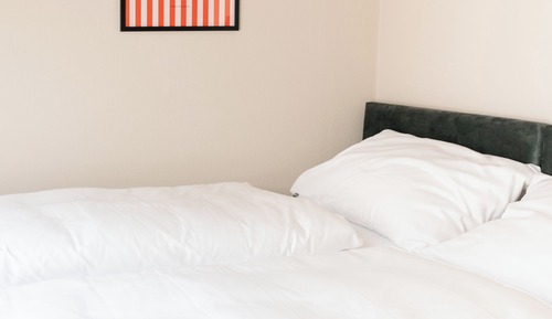 Habitación estándar con 1 cama doble o 2 individuales