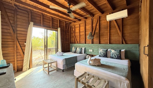 Habitación estándar, Se admiten mascotas
