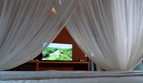 Habitación Premium