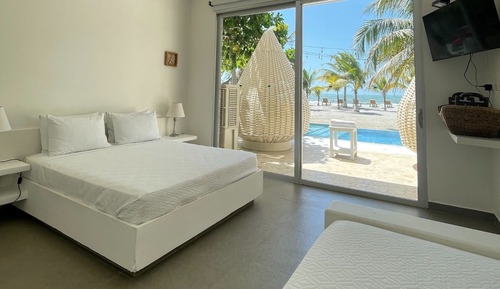 Habitación Deluxe (101)