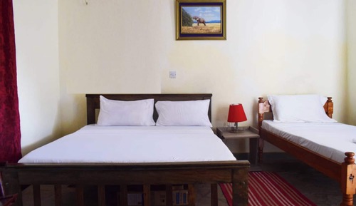 Habitación estándar con 1 cama doble o 2 individuales