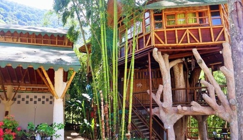 Casa en un árbol