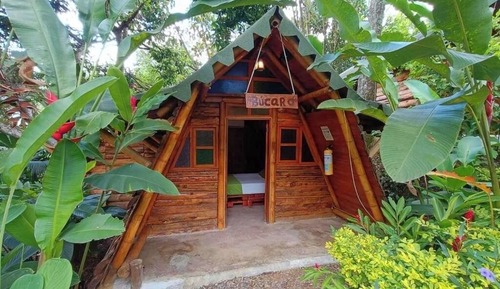 Suite superior