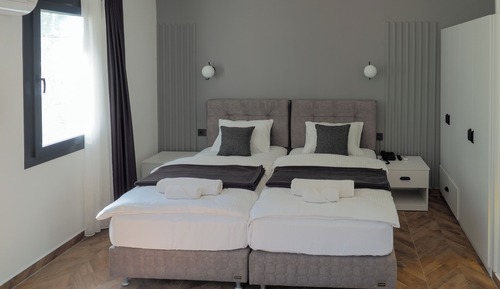 Habitación con 2 camas individuales, vistas a la montaña