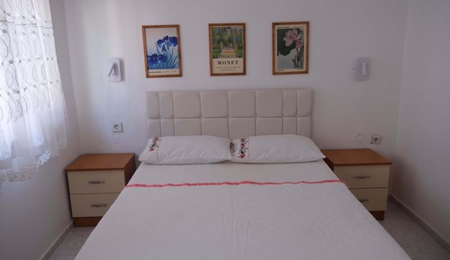 Basic Apartment