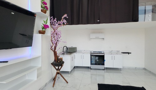 Deluxe Apartment, City View