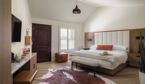 Suite estudio Premium, vistas al jardín