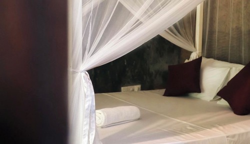 Habitación Deluxe doble, 1 cama de matrimonio, vistas al jardín, junto a la playa