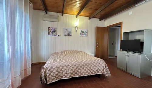 Habitación básica con 1 cama doble o 2 individuales, vistas al jardín