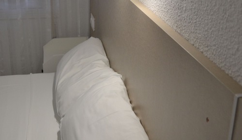 Habitación clásica con 1 cama doble o 2 individuales
