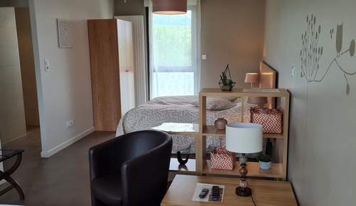 Estudio Confort, vistas al jardín