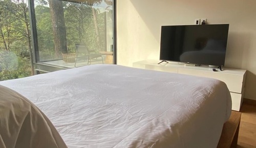 Loft Confort