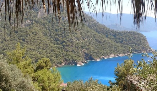 Bungalow Deluxe, vistas al mar
