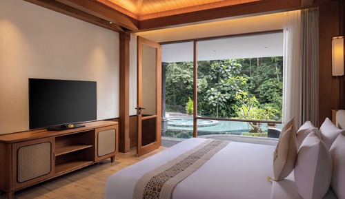 Habitación (Premium Suite Room with Plunge Pool)