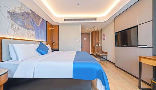 Habitación Premier doble