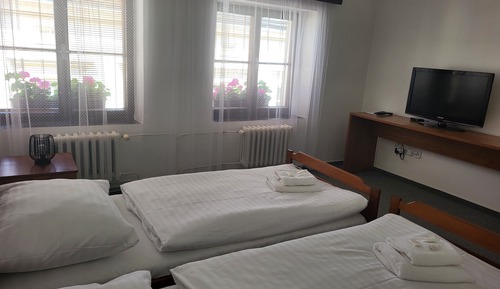 Habitación doble, 2 camas individuales, baño privado, vistas a la ciudad