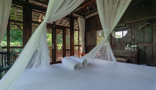 Habitación doble, vistas al jardín