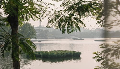 Habitación sénior, vistas parciales al lago
