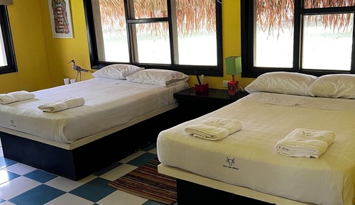 Habitación cuádruple, vistas al jardín
