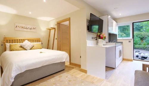 Apartamento estándar, 1 habitación, vistas al jardín