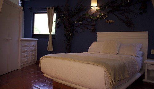 Habitación, 1 cama doble, Se admiten mascotas, vistas a la montaña